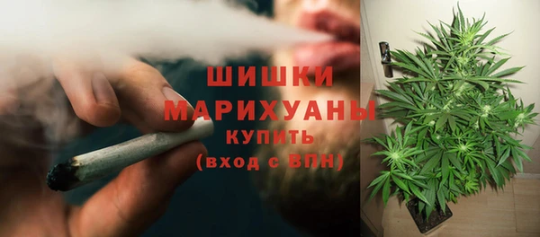 ГАЛЛЮЦИНОГЕННЫЕ ГРИБЫ Аркадак