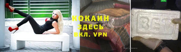 кокс Арсеньев