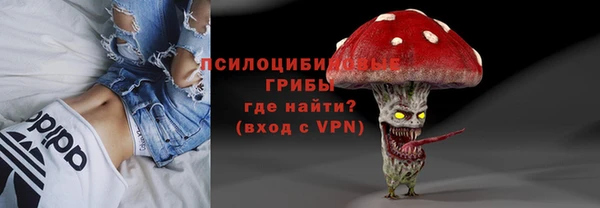 синтетический гашиш Алексеевка