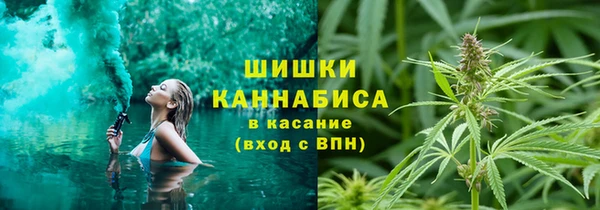 ГАЛЛЮЦИНОГЕННЫЕ ГРИБЫ Аркадак